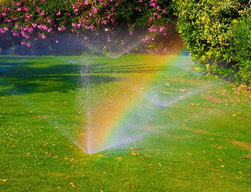 Now Is The Time To Activate Your Sprinkler System