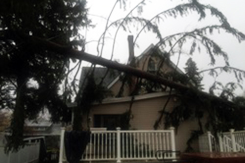 Storm Damage Services, Storm Damage Services near me