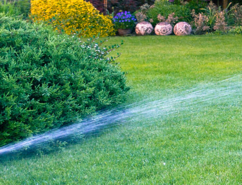 Have Your Sprinkler System Activated in the Early Spring