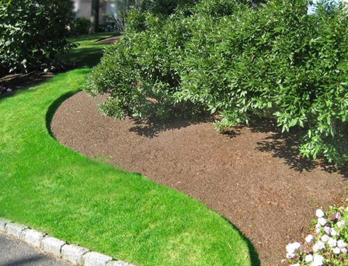 Landscape Solutions in Marlborough MA for Spring
