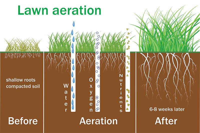 Now Is The Time For Lawn Aeration