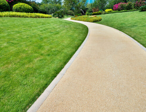 Commercial Landscape Solutions Are Important for Your Business