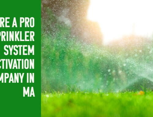 Hire a Pro Sprinkler System Activation Company in MA