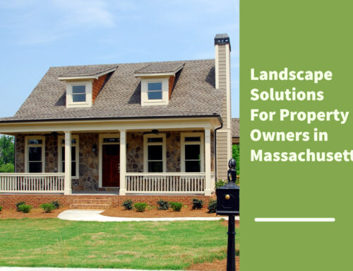 Landscape Solutions for Property Owners in Massachusetts