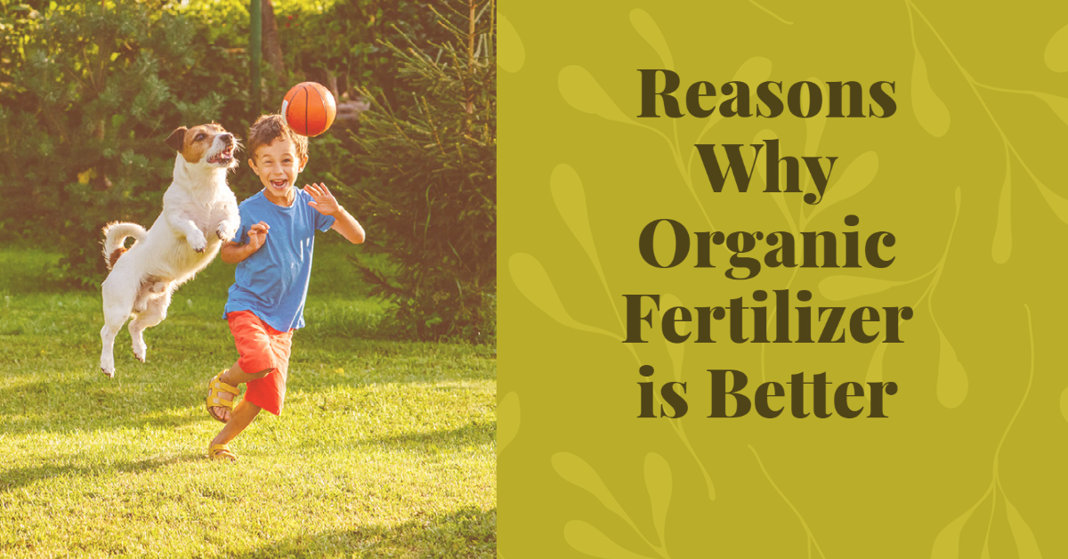 Reasons Why Organic Fertilizer is Better