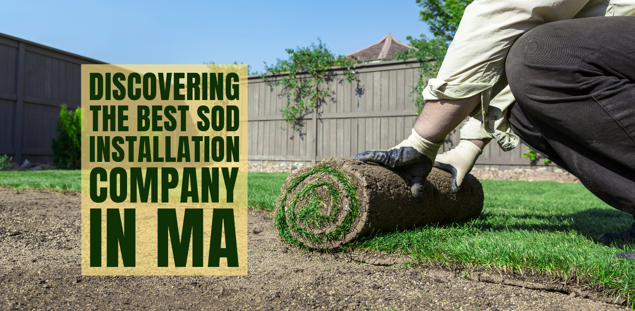 Discovering the Best Sod Installation Company in MA