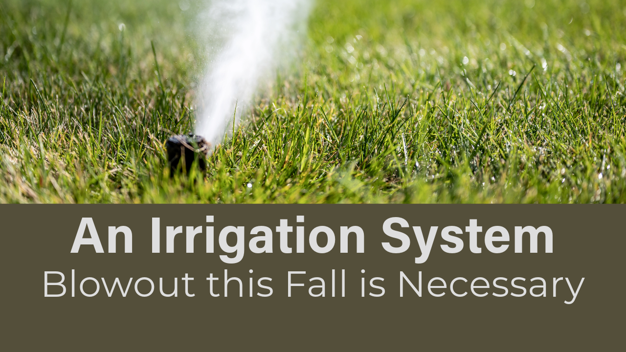 An Irrigation System Blowout this Fall is Necessary