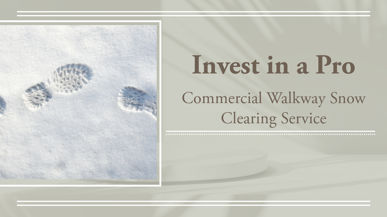 Invest in a Pro Commercial Walkway Snow Clearing Service