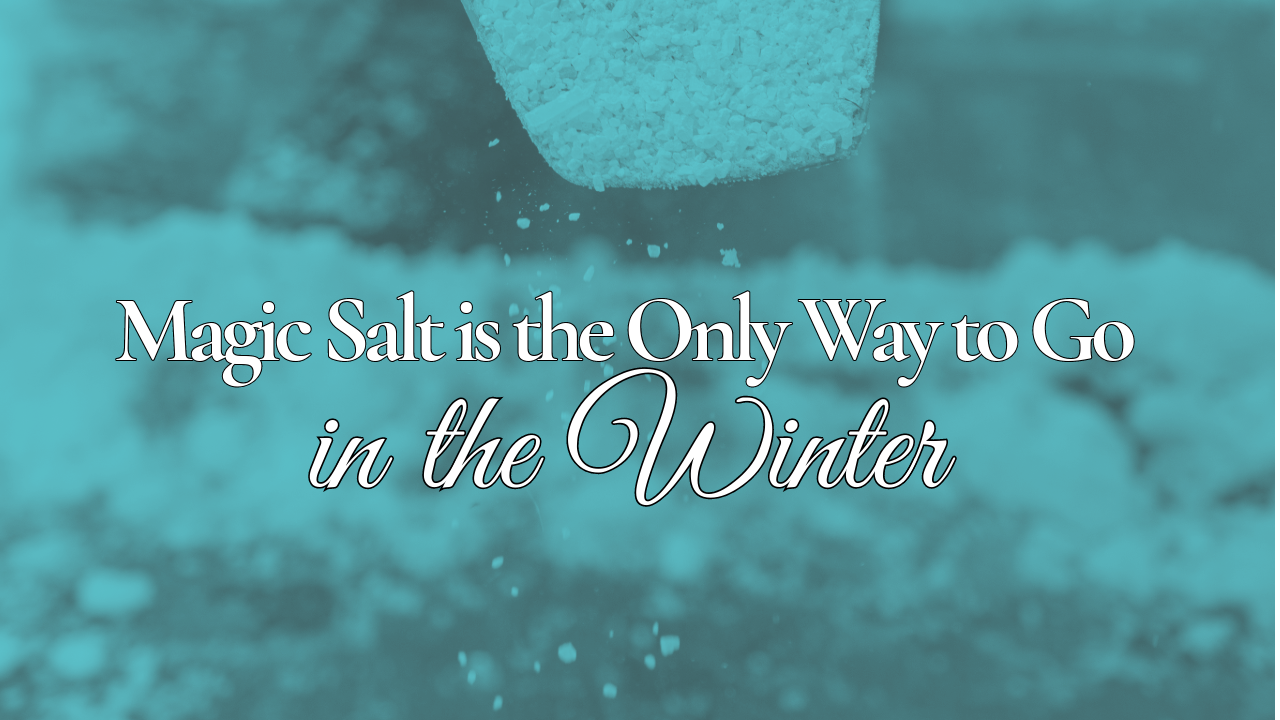 Magic Salt is the Only Way to Go in the Winter
