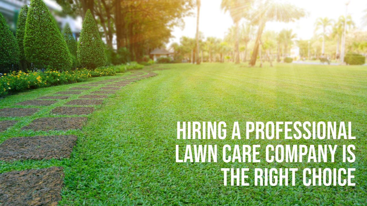 Hiring a Professional Lawn Care Company is the Right Choice