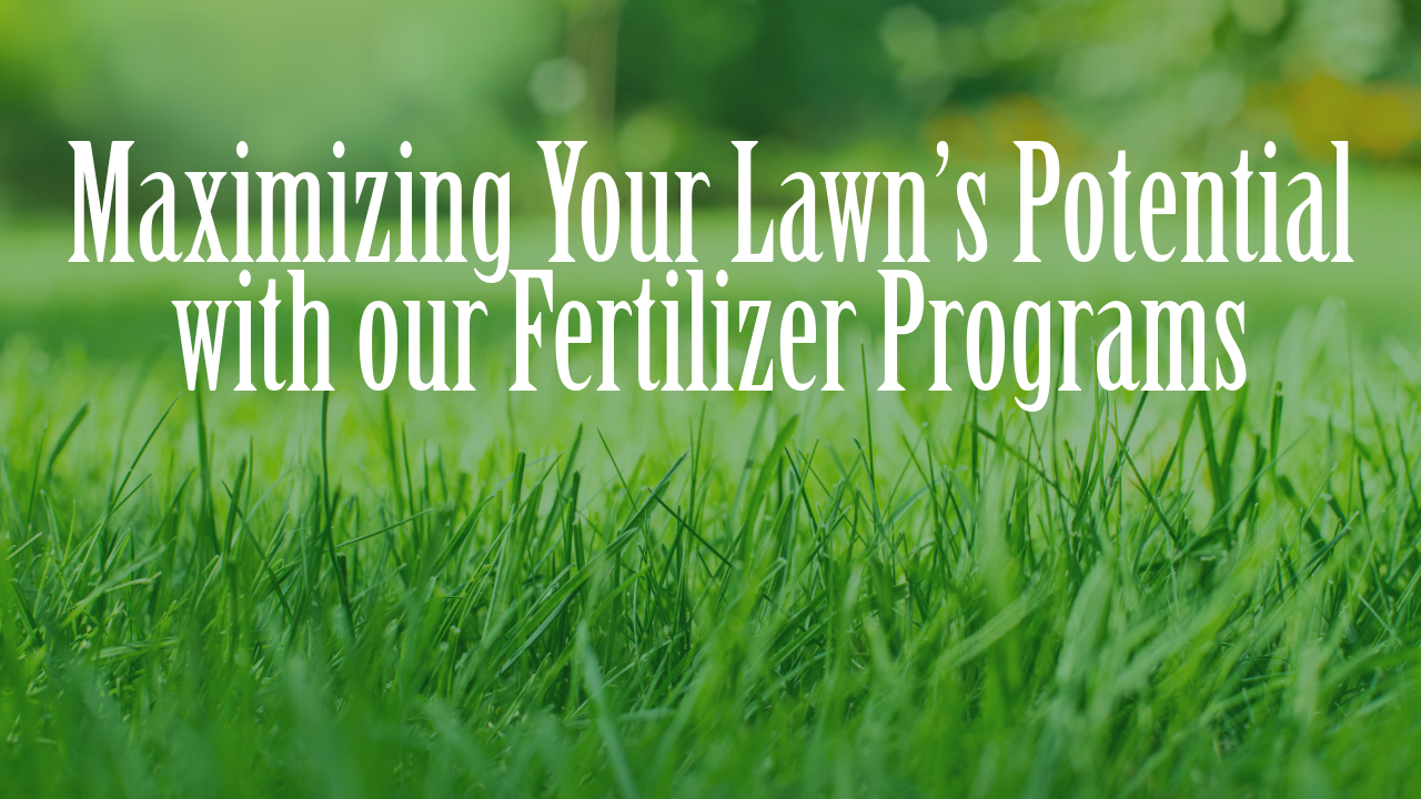 Maximizing Your Lawn’s Potential with our Fertilizer Programs